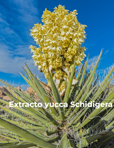 Biopesticidas naturales para control de plagas en agricultura orgánica