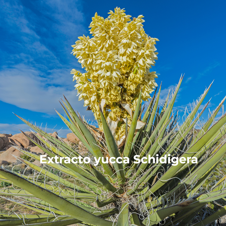 Biopesticidas naturales para control de plagas en agricultura orgánica