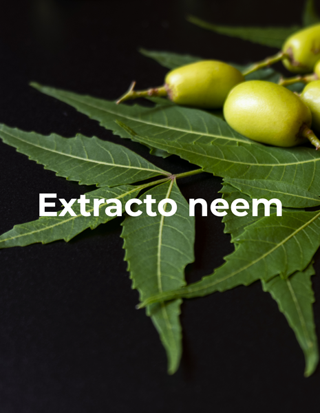 Biopesticidas naturales para control de plagas en agricultura orgánica