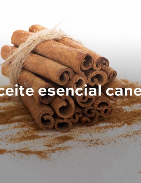 Biopesticidas naturales para control de plagas en agricultura orgánica